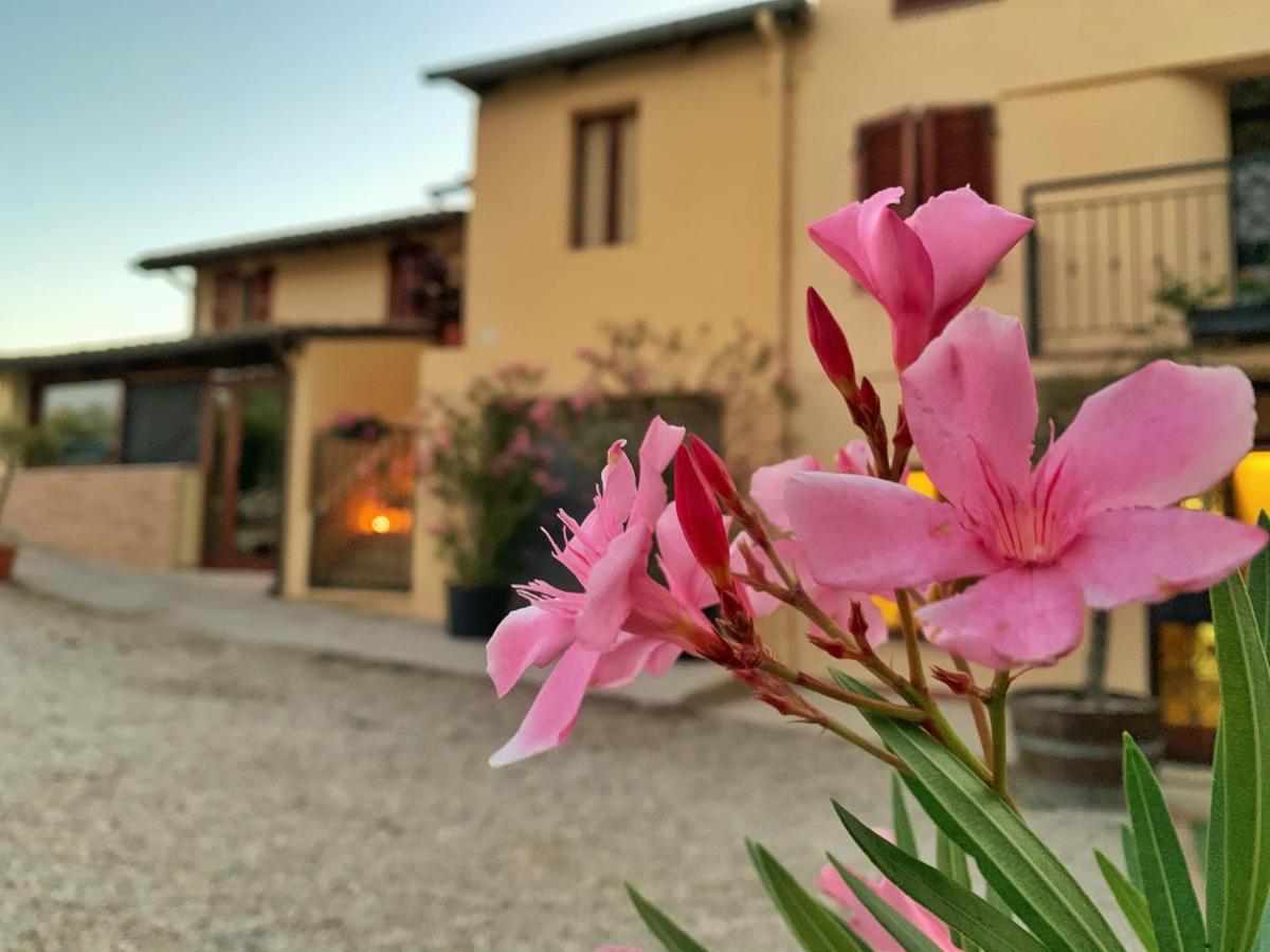 Chiaraluce Country House Massignano Extérieur photo